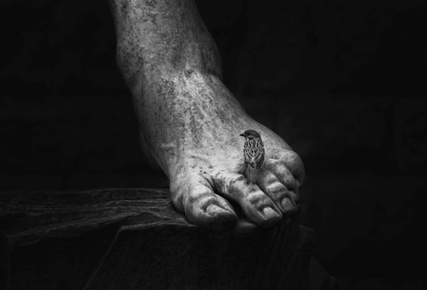 Photograph Jose C Lobato The Foot Of David on One Eyeland